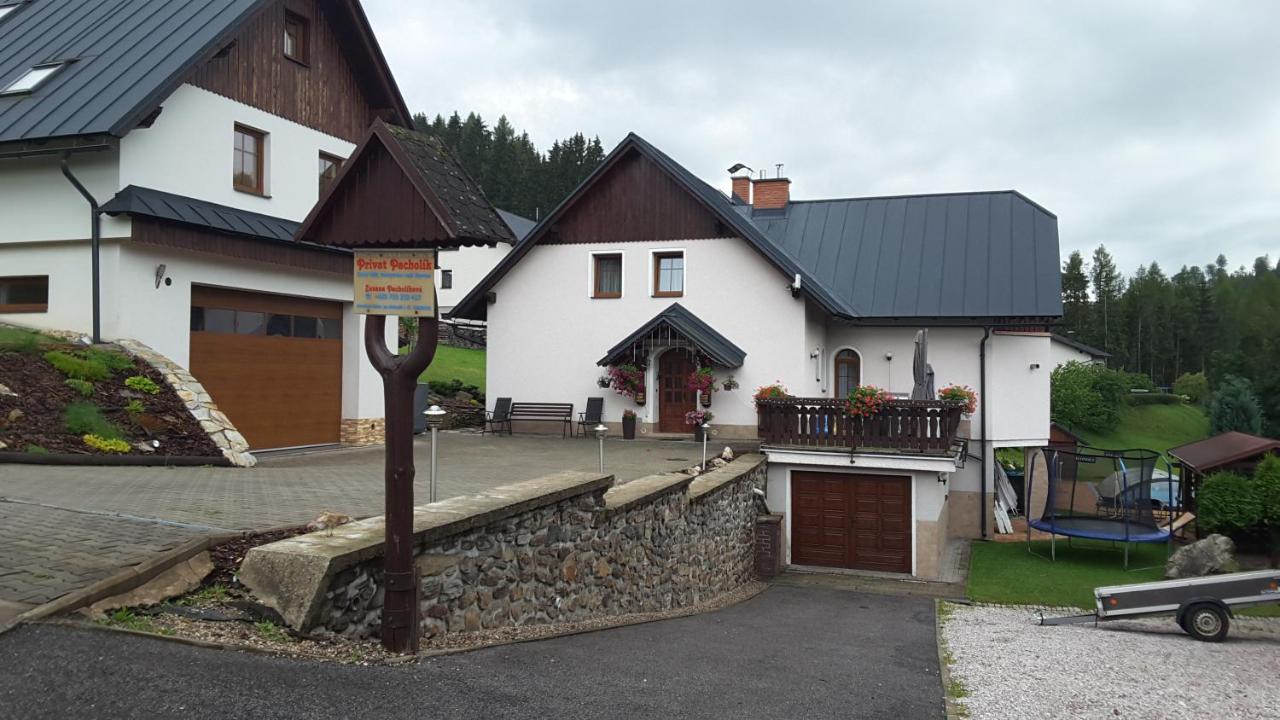 Apartmany - Privat Pacholik Rokytnice nad Jizerou Exterior foto